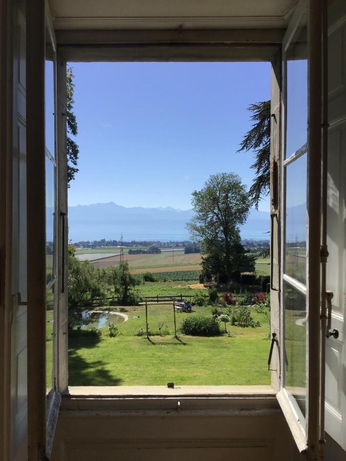 B&B Chateau De Denens Dış mekan fotoğraf